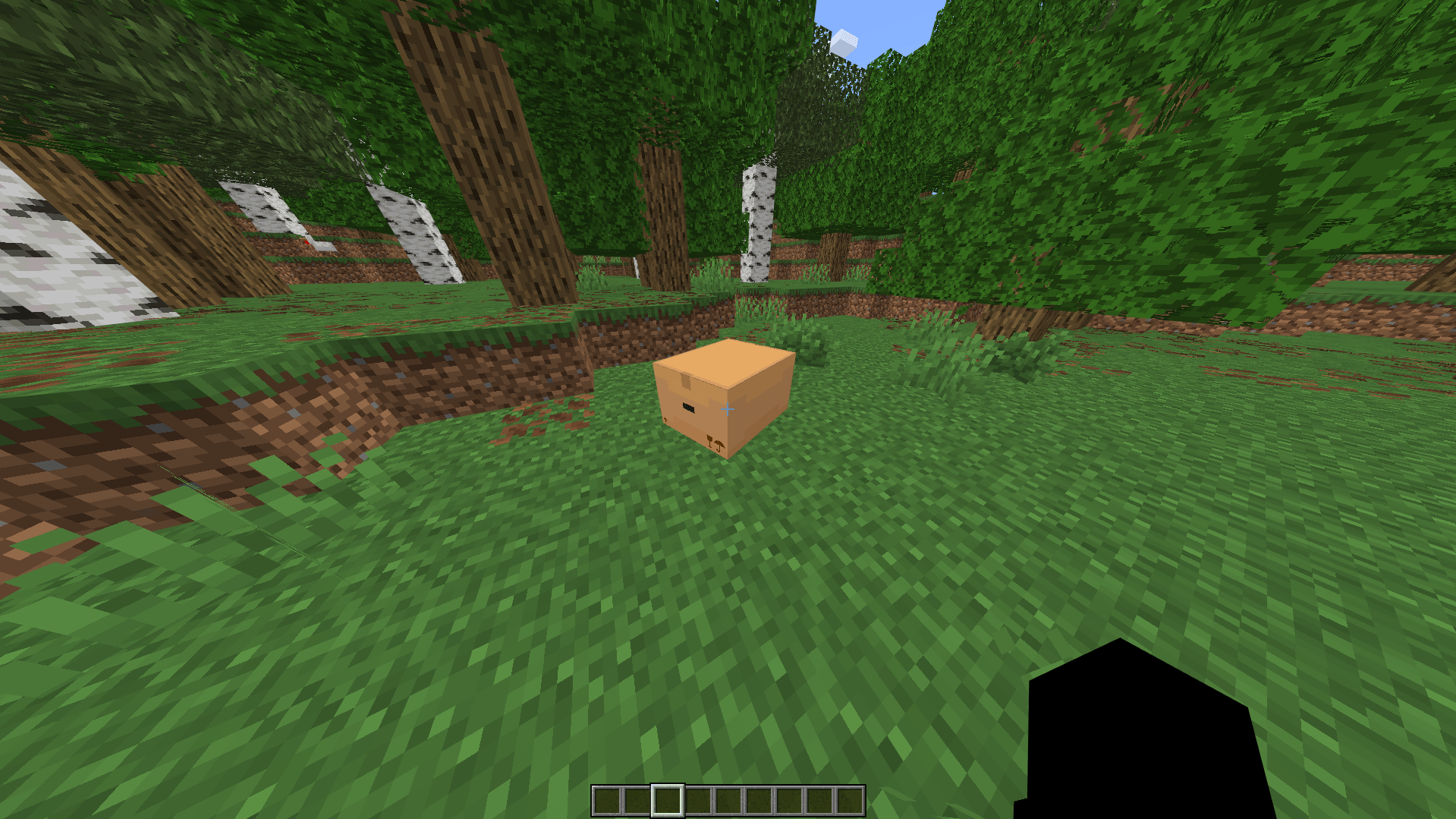 A box containing the Verity character in a Minecraft forest.